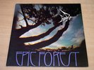 EX/EX   Rare Bird/Epic Forest/1972 Polydor Gatefold LP + Bonus 7