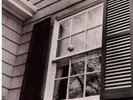 Beach Fossils - What A Pleasure [Vinyl New]