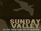 To the wind and onto heaven vinyl-Sunday Valley