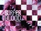 Astro Coast - Surfer Blood (2012, Vinyl New)