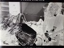 NIRVANA LP 12