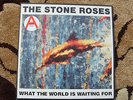 The Stone Roses What The World Is Waiting For / Fools Gold  9'53  UK 12