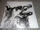 CRIPPLED BLACK PHOENIX - I VIGILANTE - 2 x LP 180G VINYL - SEALED