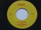 LEE (SHOT) WILLIAMS I'm Trying / Hello Baby Foxy R&B 45 HEAR