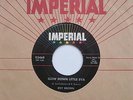 ROY BROWN Slow Down Little Eva Imperial Popcorn R&B 45 HEAR