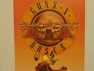 Guns N´ Roses Poster Lithograph 2016 Coachella Festival  50/250