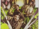 Jungle Brothers - Straight Out The Jungle LP - Warlock VG+