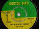 GAYLADS: LADY WITH-UK DOCTOR BIRD 7
