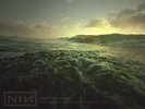 Nine Inch Nails Wild In Woodstock 2LP LIVE 8/13/94 Lmt Ed of 500 RARE  SOLD OUT