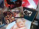 6 Titles VAN HALEN 1st 5150 Fair Warning DIVER DOWN Woman & Children 1984 EDWARD