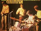 The Animals 