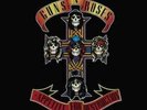 Guns N' Roses-Appetite for Destruction  Vinyl / 12