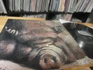 KIN PING MEH NO.2 1972 ZEBRA KRAUTROCK LP LAMINATED COVER 1ST PRESS