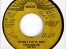 THE RISING SUN 45 Do What You're Doin' /One Night SUNCUT Rc HEAR Miami Funk SOUL