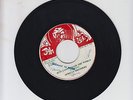 JAH LEE/ JUST CAN'T PLEASE THE WORLD -  AFRICAN BROTHERS (79 REGGAE ROOTS 7
