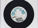 SERPENT/ SPECIALIZE IN GOOD GIRL  -  LLOYD PARKS with TECHNIQUES  (70 REGGAE 7