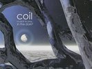 Coil - Musick To Play In the Dark 2 (Dbl Vinyl)