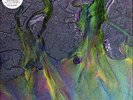Alt-J: An Awesome Wave LP