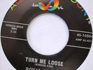 ROYAL ROBINS Turn Me Loose 45 NORTHERN SOUL DOO-WOP ABC-PARAMOUNT 10504