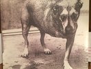Alice in Chains by Alice in Chains (Vinyl, Nov-1995, Columbia (USA))