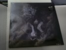 LINKIN PARK 2 LPs THE HUNTING PARTY With ETCHED SIDE  Rare