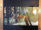 Camp [LP] by Childish Gambino (Vinyl, Nov-2011, Glassnote Entertainment Group)