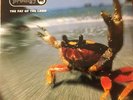 The Fat of the Land by The Prodigy (Vinyl)