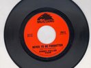 45 Bobby Fuller Four: Never To Be Forgotten b/w You Kiss Me; 1965 Mustang; MINT