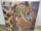 DEAD OR ALIVE/Pete Burns JAPANESE Vinyl Album SOPHISTICATED BOOM BOOM with OBI
