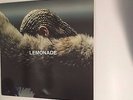 Beyonce - Lemonade 2XLP Colored Vinyl Import Jay-Z Kanye Chance