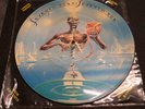 IRON MAIDEN Picture LP SEVEN SON OF A SEVEN SON & INFINITE DREAMS SHAPE