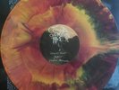 Comets On Fire - Avatar Vinyl LP Loser Edition LTD 1st Press Coloured Vinyl & DL