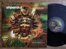 SHPONGLE - Nothing Lasts... But Nothings Lost - 2LP - 2005/UK -ELECTRO- RARE