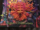 Shpongle - Museum Of Consciousness 3D Ltd 1st Press Mint Ex ++++