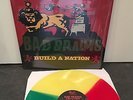 BAD BRAINS build a nation LP hc 1st press gatefold tricolor green red yellow wax