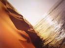 PRITCHARD, Mark - Under The Sun - Vinyl (2xLP)