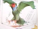 1970 PROG ROCK - ATOMIC ROOSTER - SELF TITLED LP - AUSSIE INTERFUSION EXCELLENT