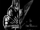 LILYS In the Presence of Nothing 2xLP Vinyl 300 MADE SUPER DELUXE Shoegaze RARE