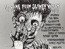 V/A - IT CAME FROM SLIMEY VALLEY LP (1984) GRIM, CIRCLE ONE, DR.KNOW, ILL REPUTE