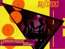 Buzzcocks A Different Kind Of Tension vinyl LP album record UK UAG30260