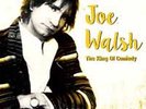 Joe Walsh - King Of Comedy (Limited 2 x Vinyl LP) New & Sealed