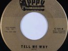 THE DE-LITES: Lover / Tell Me Why CUPPY Northern Soul MONSTER 45 Rare