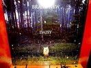 Brand New: Daisy 180 Gram Vinyl LP. Deja Entendu Your Favorite Weapon Rookie Lot