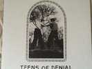 CAR SEAT HEADREST Teens of Denial 2LP Vinyl 2016