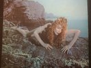 Bryan Ferry Signed Roxy Music Siren VInyl LP COA