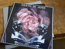 DEATH IN JUNE - ROSE CLOUDS OF HOLOCAUST LP ORIGINAL FIRST PRESS UK NEAR MIN