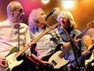 Status Quo: The Frantic Four's Final Fling: Live At the Dublin O2 Arena (2-LPs: