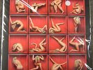 THE ROLLING STONES  Foxes in the Boxes VOL. 3 LP + CD  weißes  Vinyl