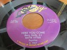 HATTIE LITTLES/FAYETTES  DETROIT R&B NORTHERN SOUL ON GORDY LABEL HERE YOU COME