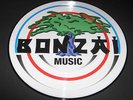 Picture Vinyl 004 Bonzai Yves Deruyter 